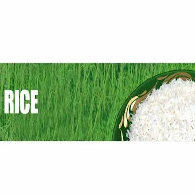 Unbraded Basmati Rice - 500 gm