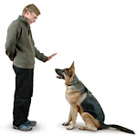 Cover Image of Download Training A Dog For Show 1.0 APK