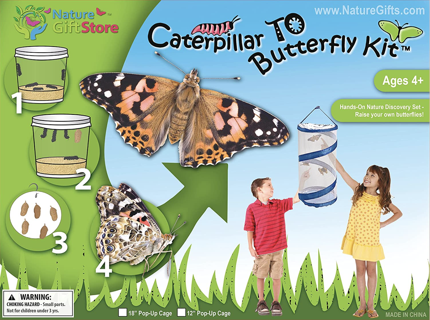 gift ideas for kids (not toys) butterfly kit