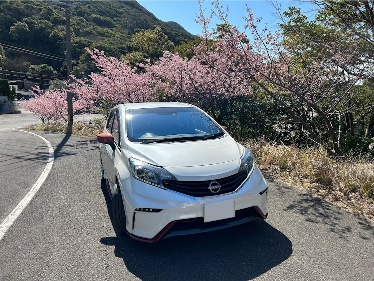 ノートの河津桜・河津桜とコラボ・桜・桜とコラボ・津久見に関するカスタム事例の投稿画像5枚目