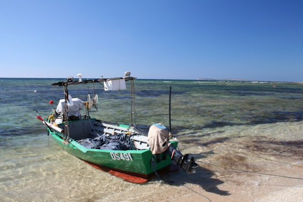 Pronta per la pesca.. di ilamila