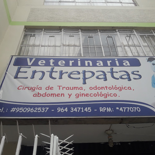 Opiniones de Clínica Veterinaria Entrepatas en Huancayo - Veterinario