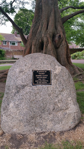 Taihg Memorial Stone