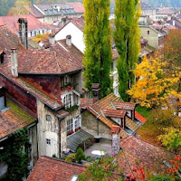 Autumn in Zurich di 