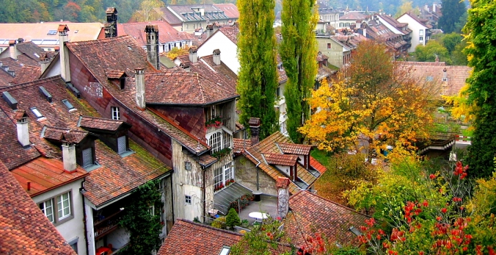 Autumn in Zurich di daviderm