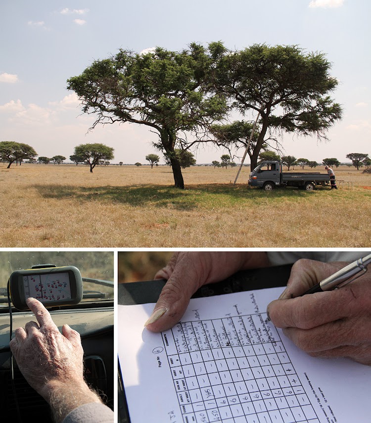 TOP: Angus Anthony's bakkie under a camelthorn tree in the Dronfield Nature Reserve, where he and Ester van der Westhuizen-Coetzer ringed and marked a white-backed vulture chick. BOTTOM LEFT: The GPS device indicates the location of each nesting tree. BOTTOM RIGHT: Angus Anthony takes notes.