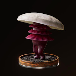Fungi #5003