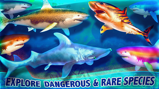 Screenshot Real Shark Life - Shark Sim