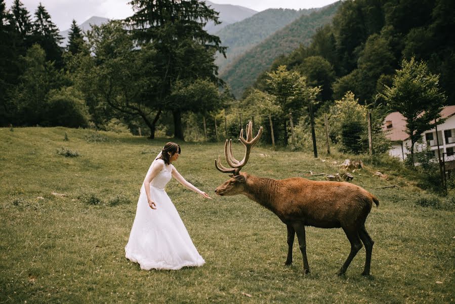 Fotograful de nuntă Laura David (lauradavid). Fotografia din 28 februarie 2018