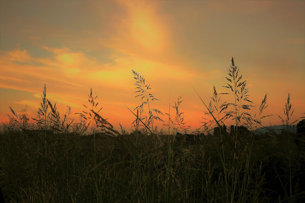 I colori caldi della sera di Rosaria_Scrofani