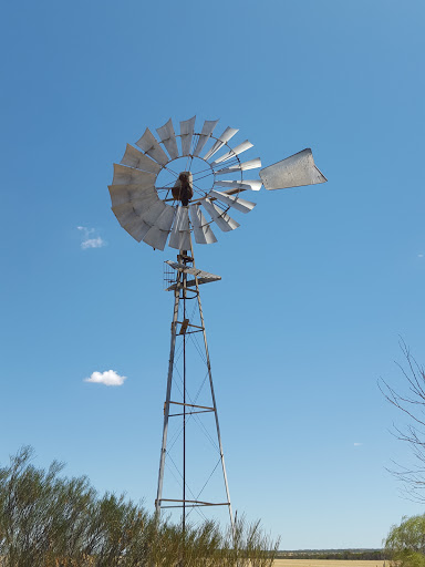 Old Wind Mill