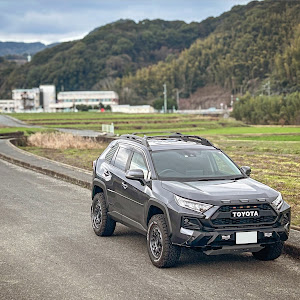 RAV4 MXAA54