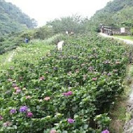 【竹子湖】冠宸食館