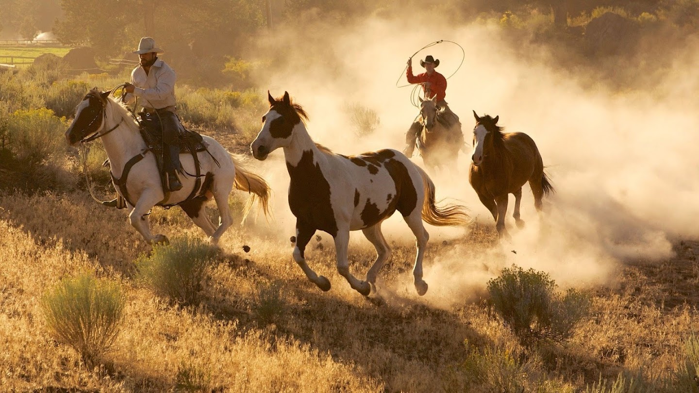 Watch Planet Earth: Wild West live