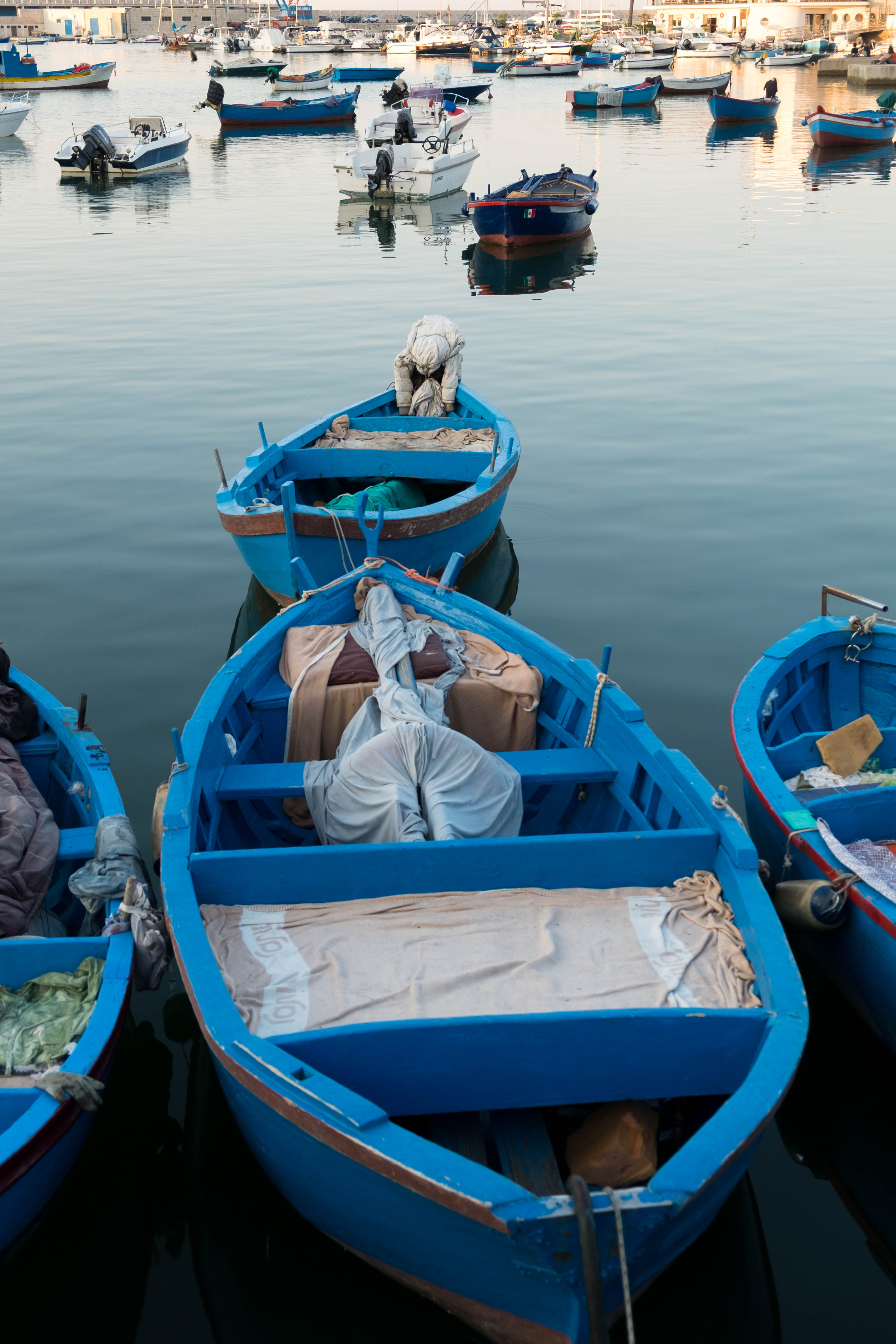 blue boat  di francesca bolla