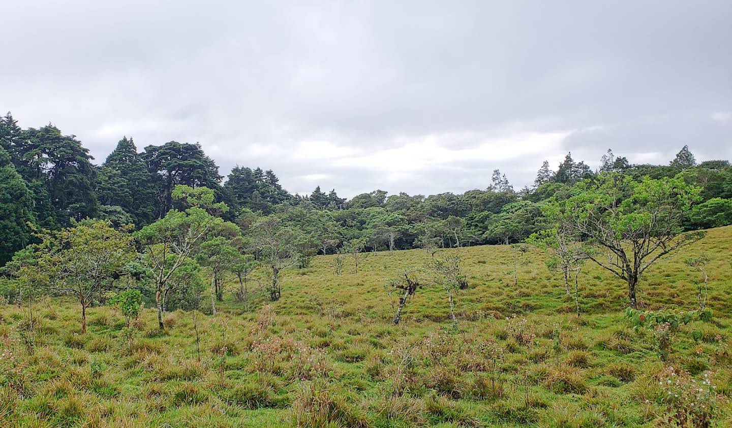 Land San Isidro de El General