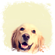 Download Dog Wallpaper For PC Windows and Mac 1.3