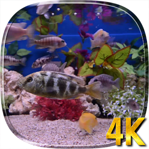 Aquarium 4K Live Wallpaper.apk 1.0