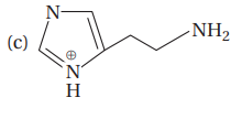 Amino Acids