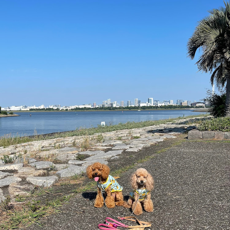 アトレーの葛西臨海公園・病院の予約時間・時間潰し・早朝で空いてるに関するカスタム事例の投稿画像4枚目