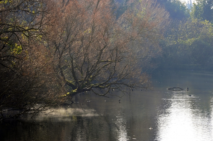 INCHINO ALL'AUTUNNO di pcappe