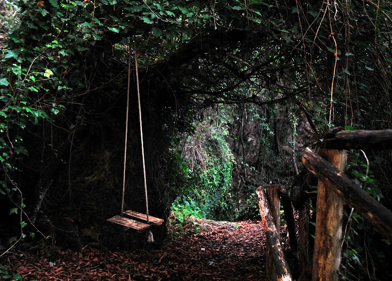 L'altalena nel bosco di Mikmata