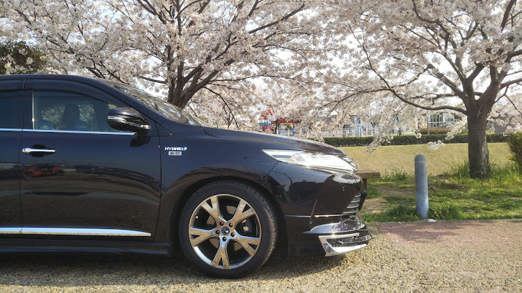 ムーヴキャンバスのZERO 903VS・DRV-MR740・シールちゅーん・ちょこっとお久しぶり・盗難車情報依頼に関するカスタム事例の投稿画像4枚目