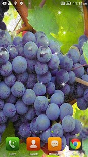 Download Bunches Grapes Wallpapers. APK for PC
