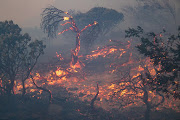 The fire on Mitchell’s Pass in the Cape Winelands district municipality has reignited. File photo.