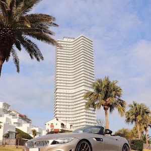 BMW Z4 35is