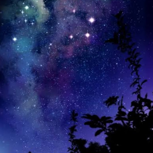 夜花𓂃 𓈒𓏸⋆͛☽.ﾟ