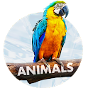 Animals Wallpapers for phone