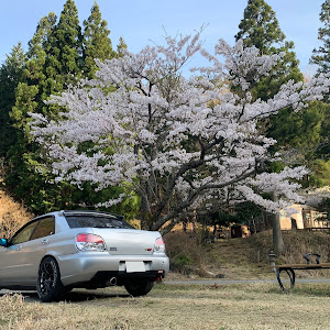 インプレッサ WRX STI GDB