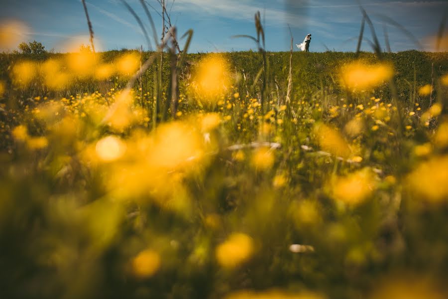 Bryllupsfotograf Breniuc Radu (raduu). Bilde av 6 juni 2019