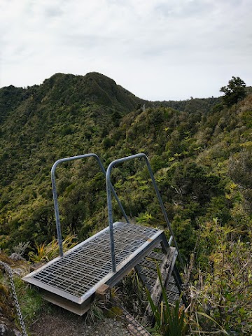 Mount Karioi Summit Track Stairs