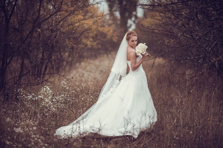 Vestuvių fotografas Roman Isakov (isakovroman). Nuotrauka 2014 balandžio 1