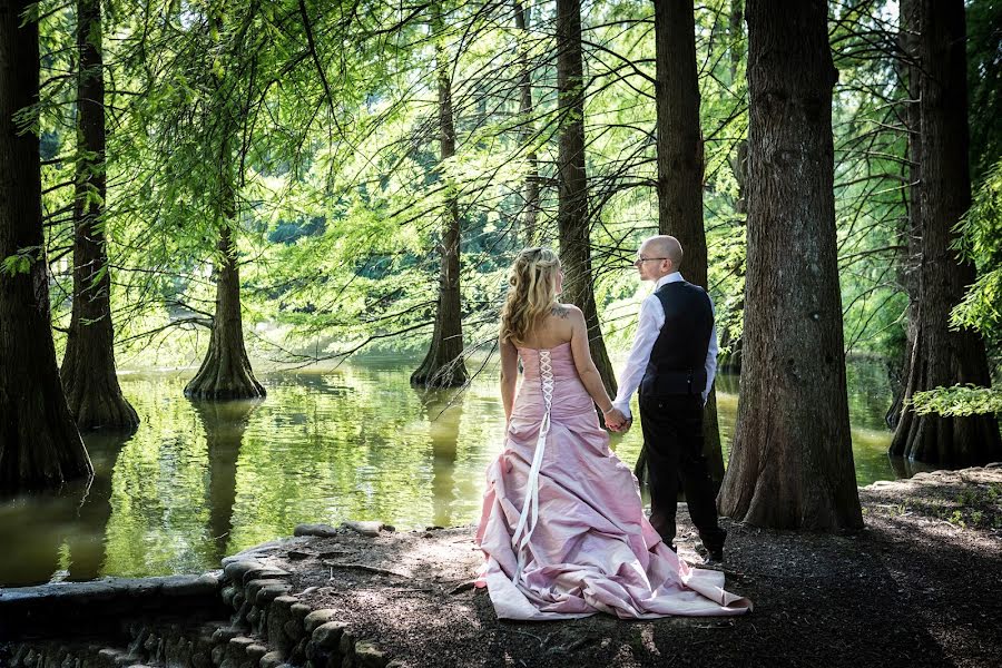 Fotografo di matrimoni Werther Scudellari (scudellari). Foto del 31 dicembre 2015