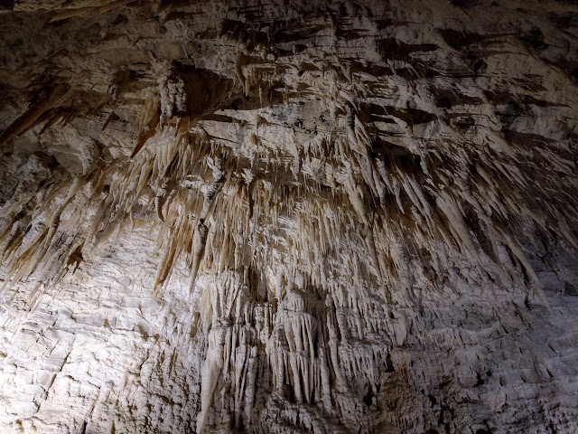 Ruakuri Cave stalactites Waitomo Glowworm Caves