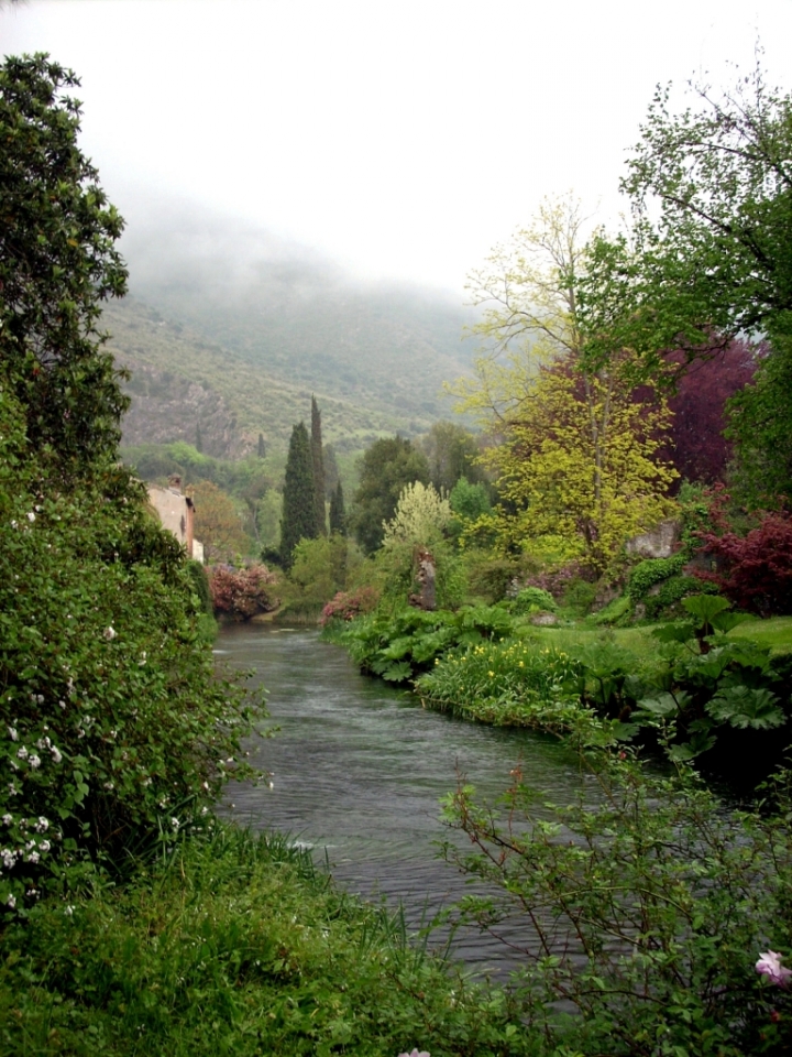 Ninfa... nel bosco magico di newxeres