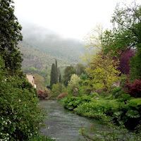 Ninfa... nel bosco magico di 