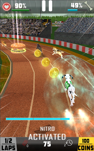 Screenshot Dog Racing game - dog games