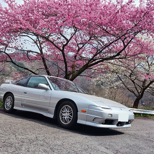 ibuのプロフィール画像