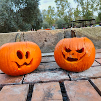 Pumpkin park di BeaSpacca