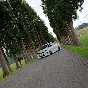 エスティマ GSR55W