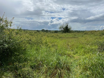 terrain à Saint-Seine (58)