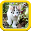 Cats puzzle icon