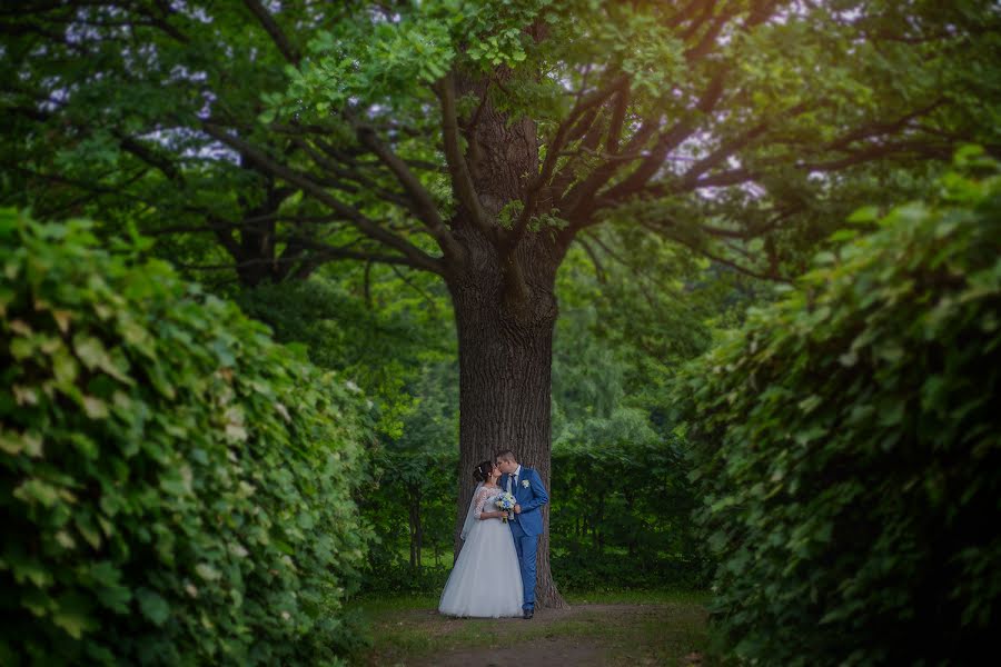 Fotógrafo de bodas Olga Starostina (olgastarostina). Foto del 27 de julio 2019