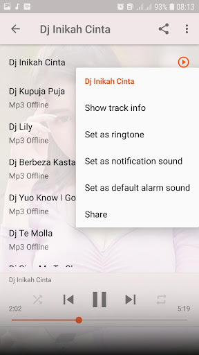 Dj Inikah Cinta Offline