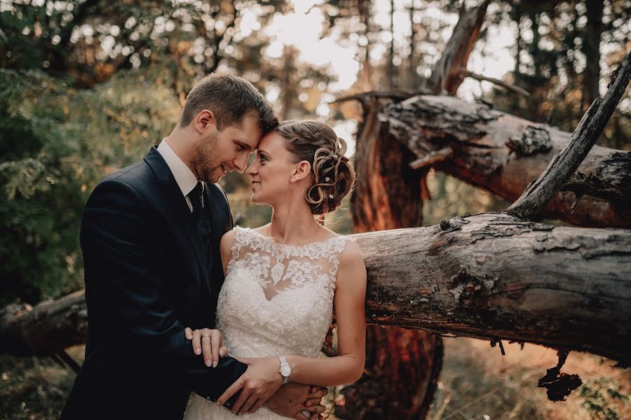 Fotografo di matrimoni Zsolt Sári (zsoltsari). Foto del 9 dicembre 2019