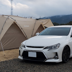 マークX GRX130